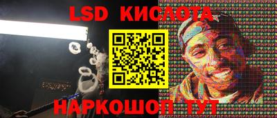 эйфоретик Гатчина
