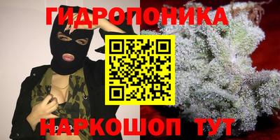 эйфоретик Гатчина