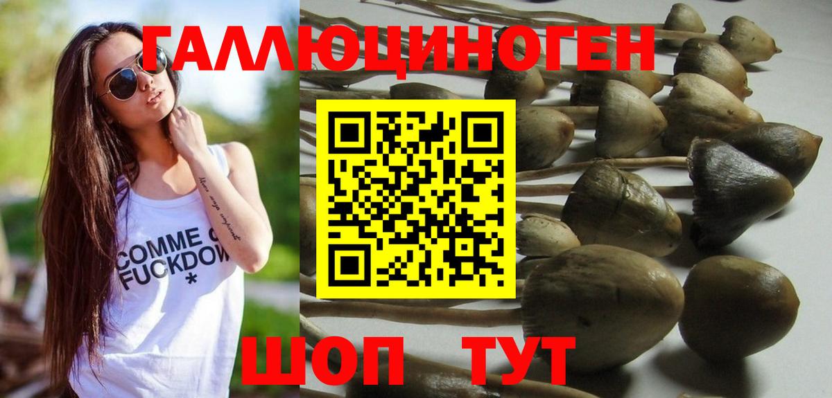 Галлюциногенные грибы ЛСД  Галлюциногенные грибы MAGIC MUSHROOMS  Дмитров  Вход с VPN 