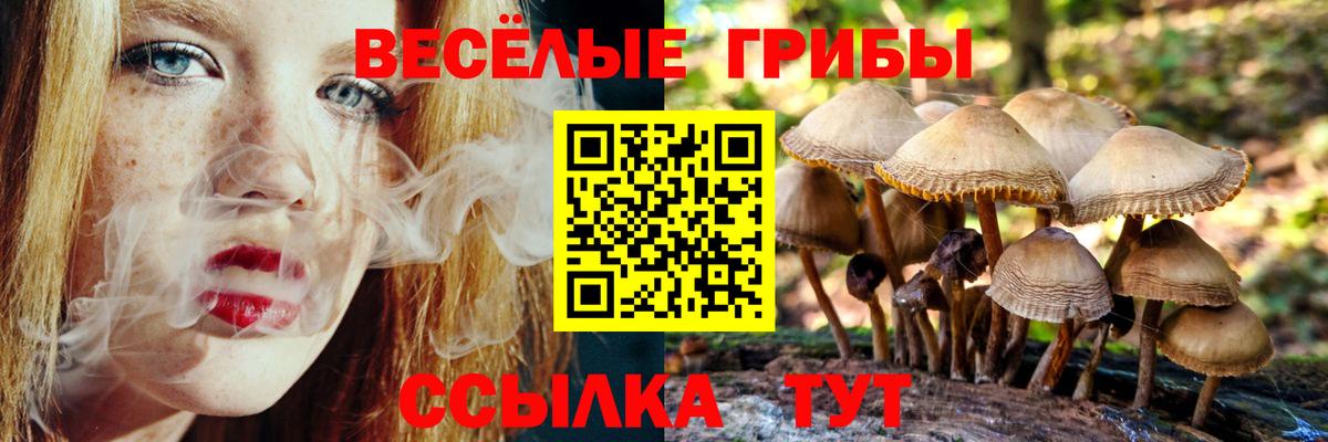 Галлюциногенные грибы мухоморы Дмитров